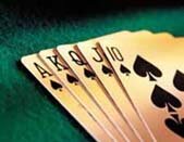 Texas Hold Em Free